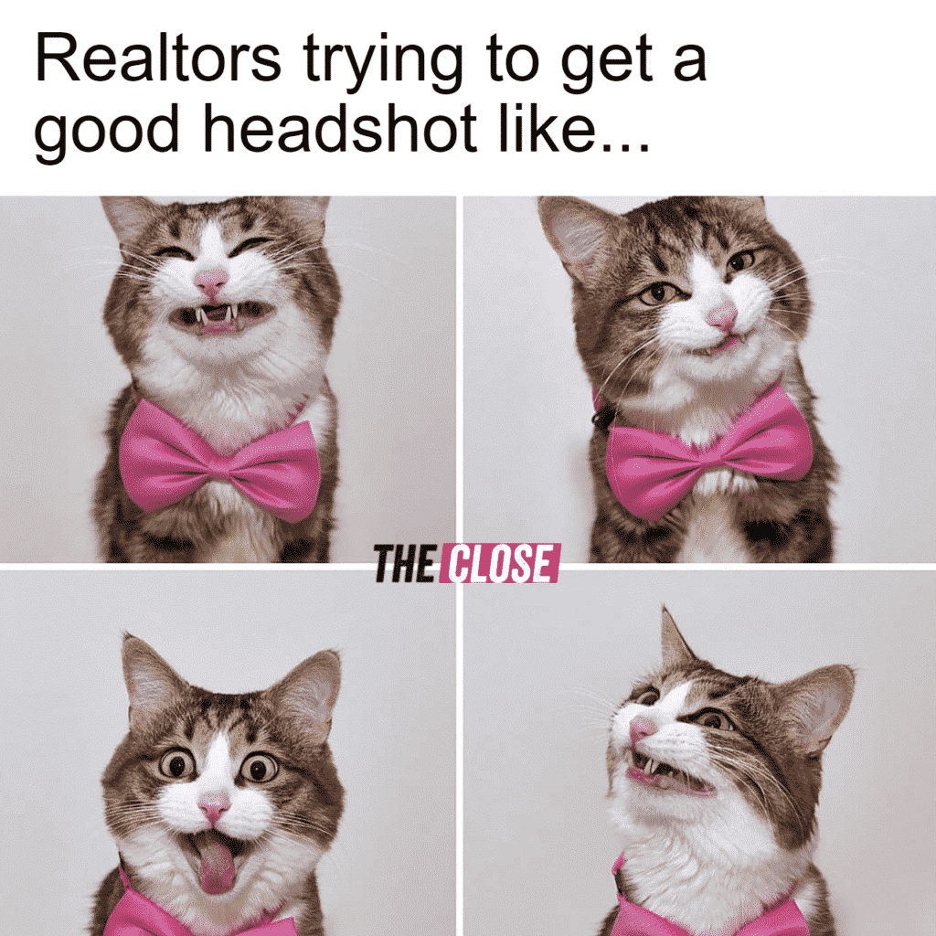 Picture with text, "Realtors trying to get a good headshot like..." There is a cat with four funny faces and a pink bowtie.