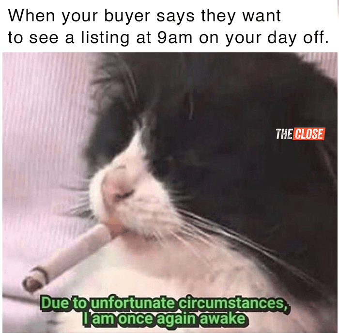 Real Estate meme